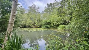 Photo 16- click for photo gallery